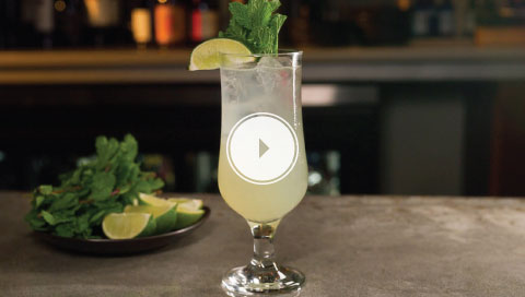 Magnificient Mocktails - No-jito